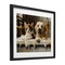 Stupell Industries Bath Buddies Cat & Dog Framed Print Under Glass, design by Shawna Stewart
